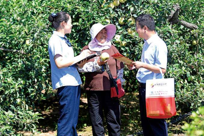 苹果版深圳农商行深圳农商行一股多少钱