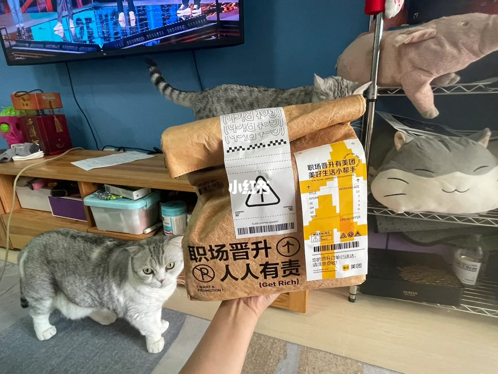 美团客户端抽奖美团客户端网页版登录入口-第2张图片-太平洋在线下载