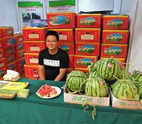 西瓜彩票客户端西瓜创作平台网页版入口